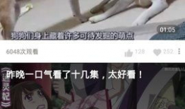 玲珑视频,揭秘现代科技与艺术融合的视觉盛宴